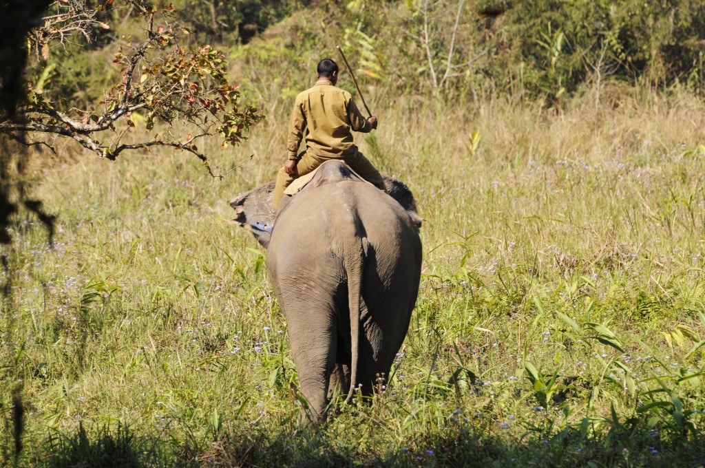 Chitwan