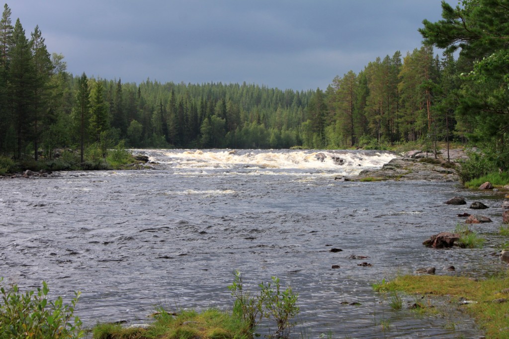 Forsande älvar