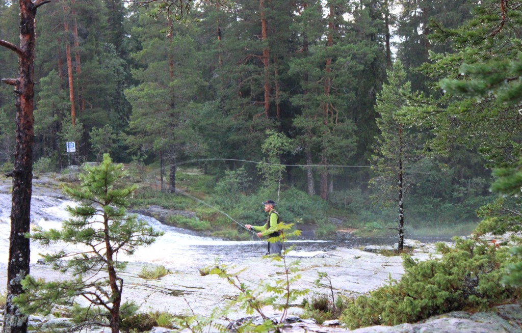 Flugfiske - ett vackert sätt att koppla av!