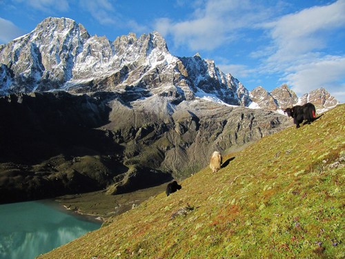 Utsikt över Gokyosjön och Renjo La från Gokyo Ri Utsikt över Gokyosjön och Renjo La från Gokyo Ri