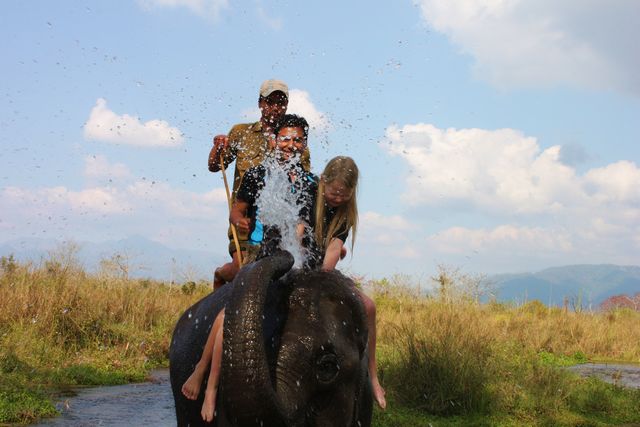 Bada med elefanterna i Chitwan Bada med elefanterna i Chitwan